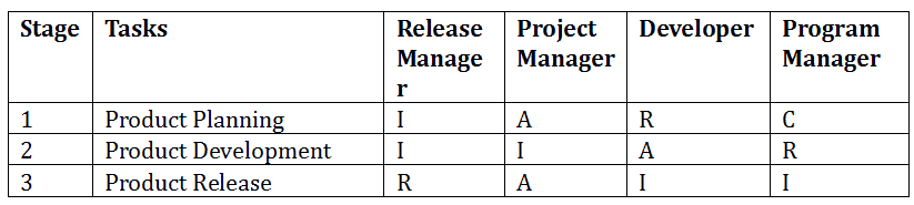 Six Sigma Raci Chart