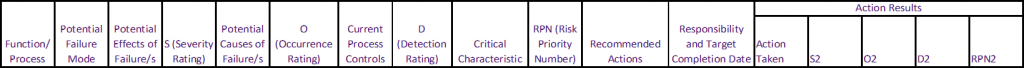 Basic FMEA Table Template