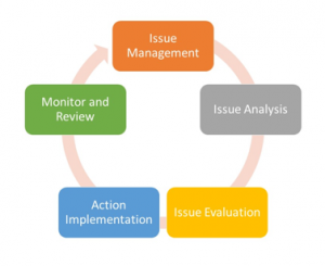 Project Issue Management and Issue Resolution Process